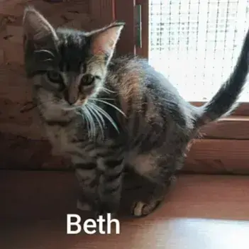 Beth photo 2