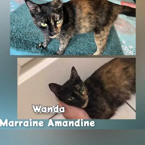 Wanda photo 3