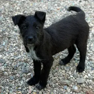 Lison photo 3