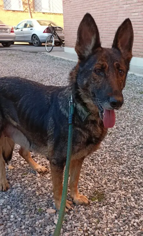 Loba photo 2