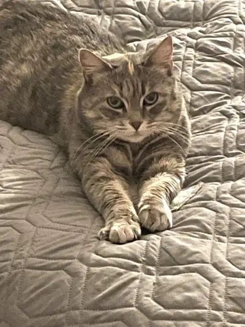 Paloma photo 2