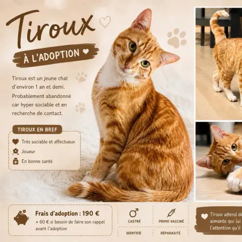 Tiroux