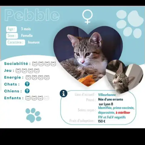 Pebble