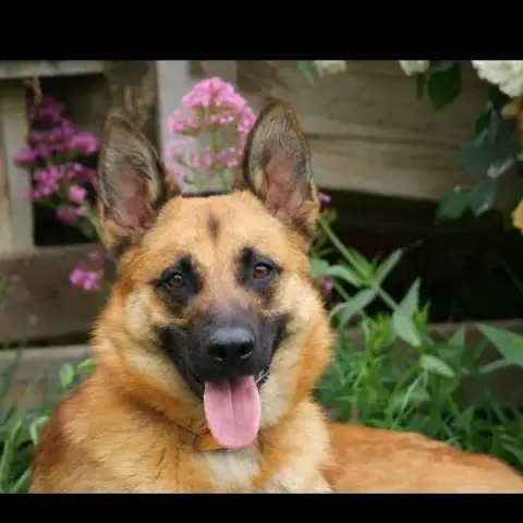 Uros photo 3