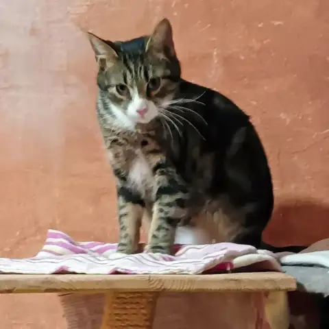 Câlin photo 2