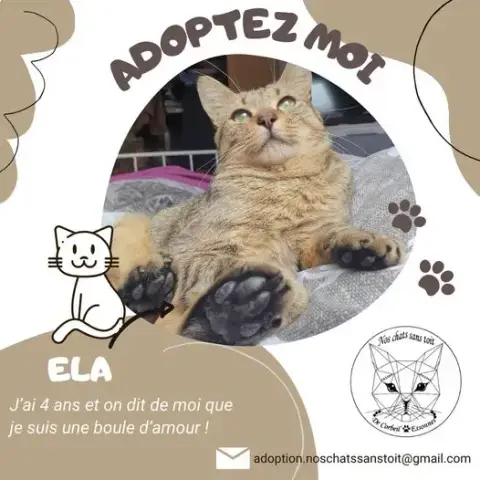 Ela photo 2