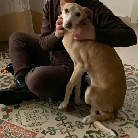 Kira photo 2