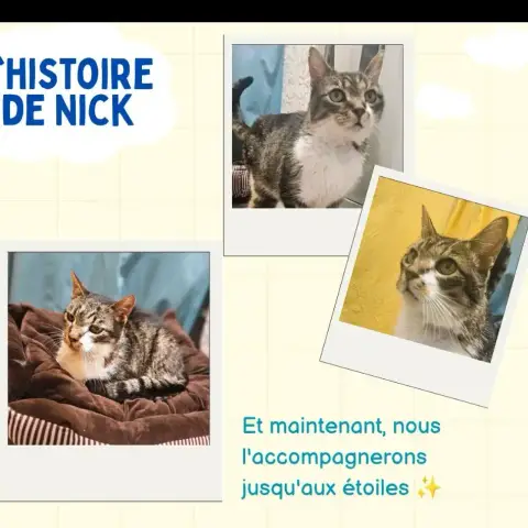 Nick photo 2