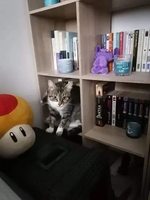 Tina
