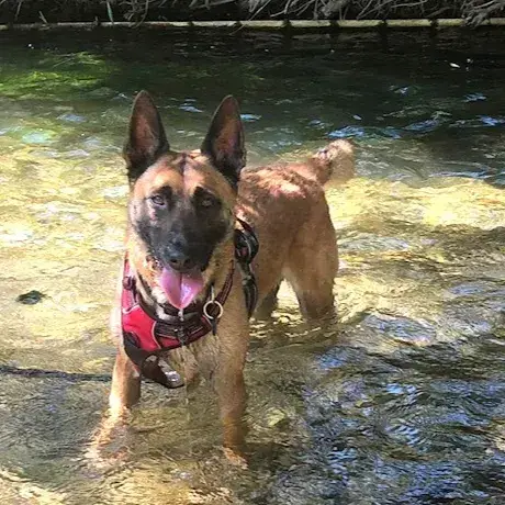 Sam