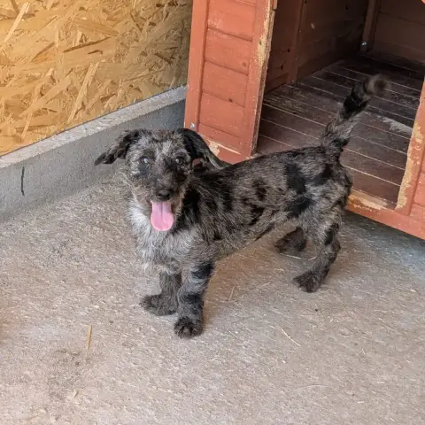 Zig Zag