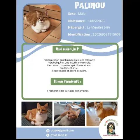 Palinou