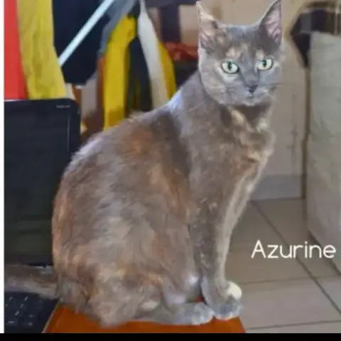 Azurine