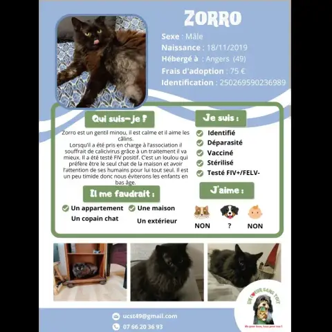 Zorro