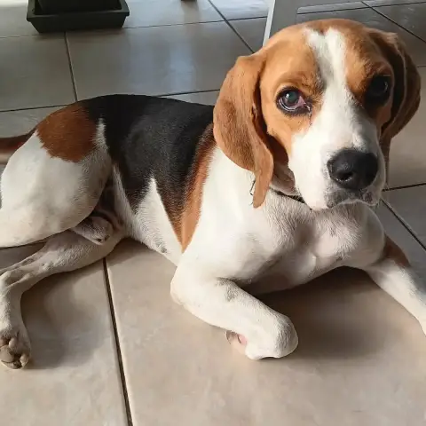 George photo 2