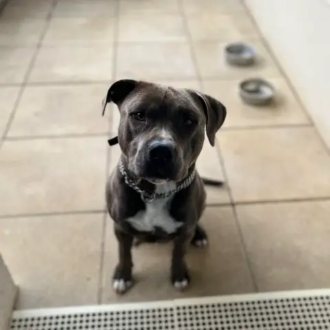 Snoop photo 2