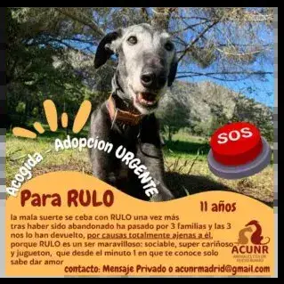 Rulo