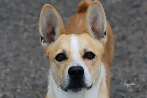 Max