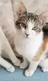 Choupie photo 2