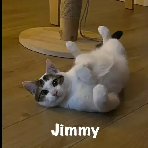 Jimmy photo 2