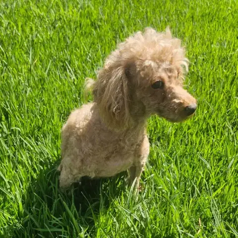 Bella photo 2