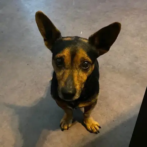 Bobby