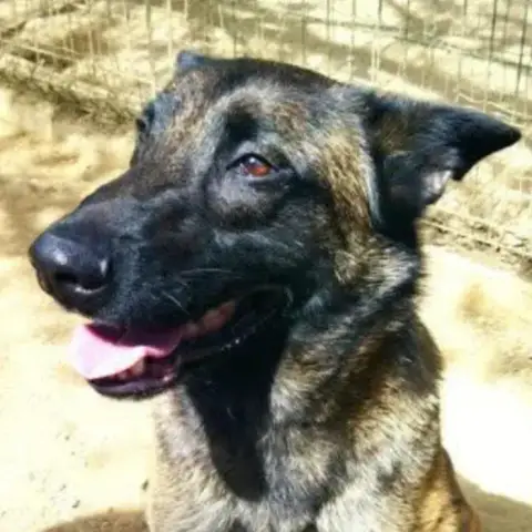 Aldo photo 3