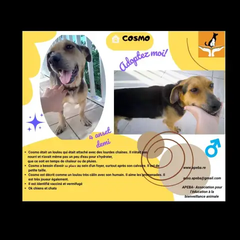 Cosmo