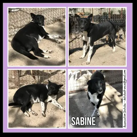 Sabine