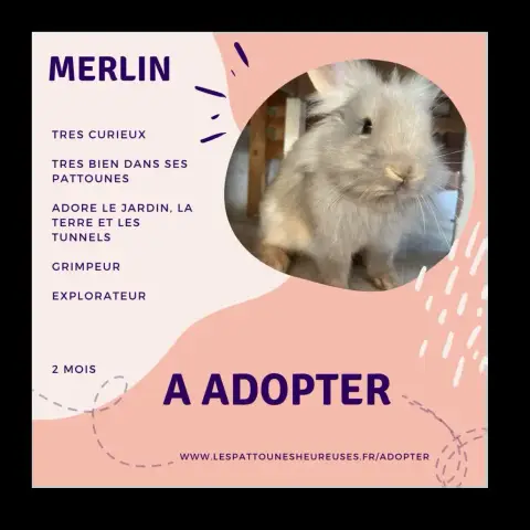 Merlin
