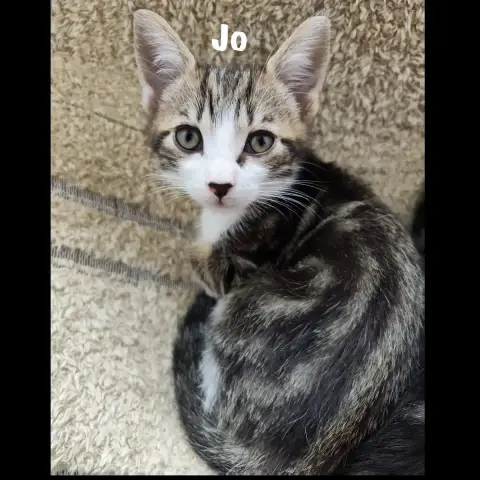 Jo photo 3