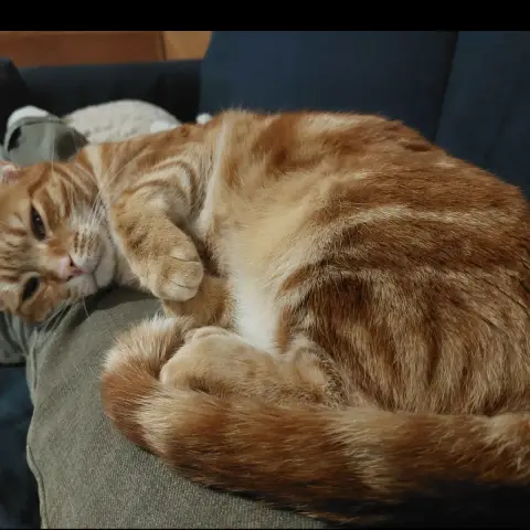 Freyja photo 3