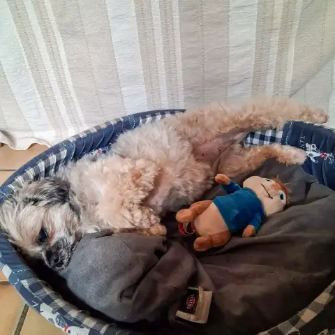 Joyce photo 3
