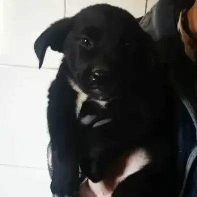 Ellie