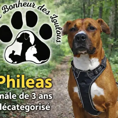 Phileas