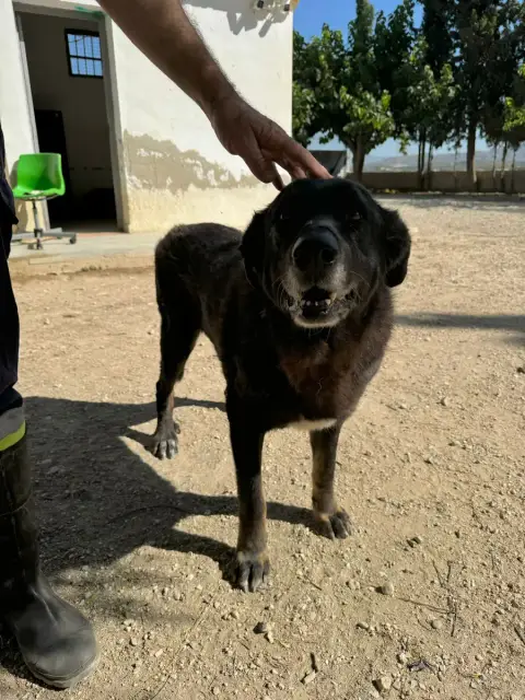 Federico photo 2