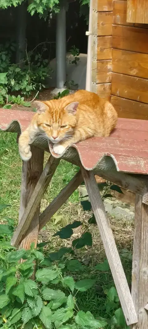 Roucky