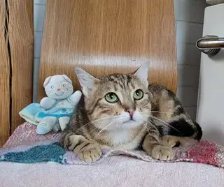 Marta