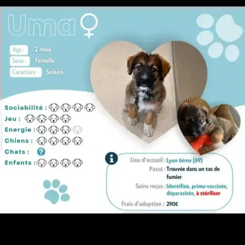 Uma