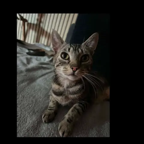 Maggy Ou Miss Bisous