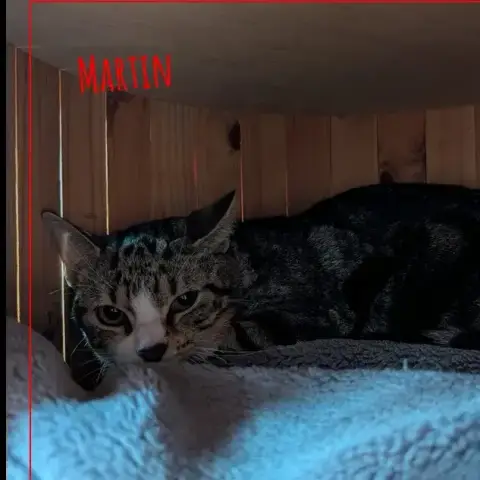 Martin