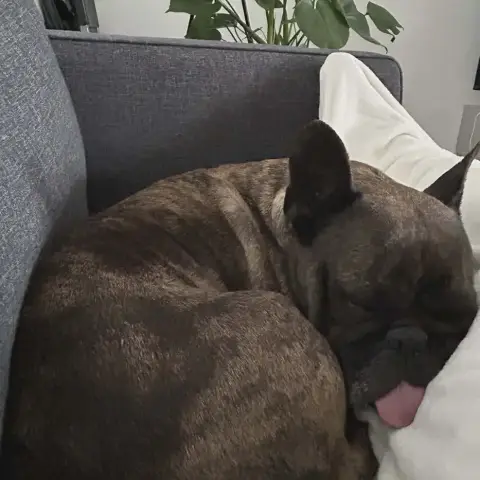 Coco