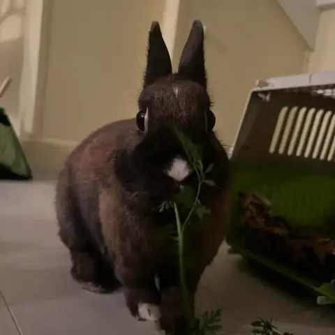 Judy photo 2