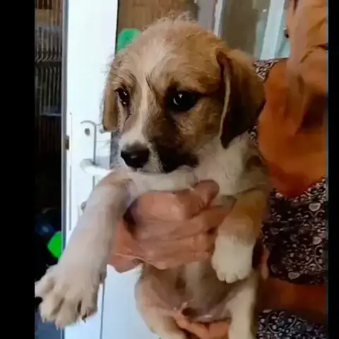 Malibu photo 2