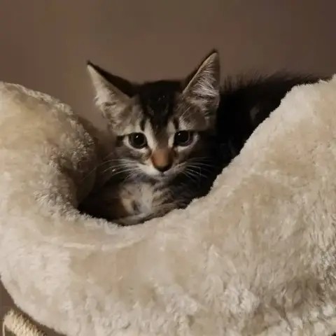 *Bella*