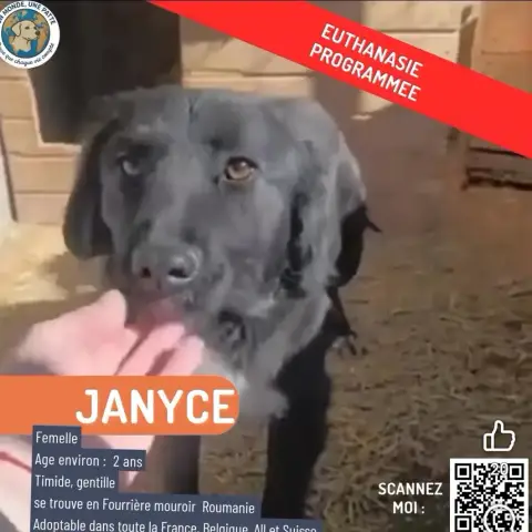 Janyce