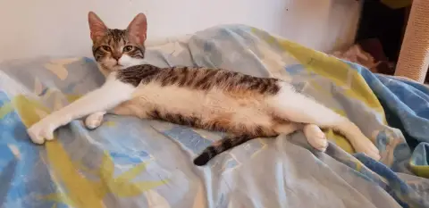 Carmelita photo 3
