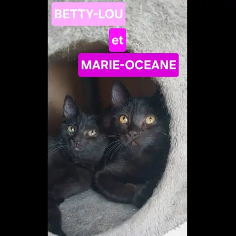 Betty-Lou Et Marie-Oceane