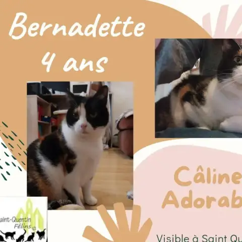 Bernadette