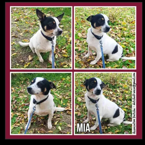 Mia